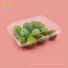 100% Food Grade Biodegradable Plastic Food Storage Container